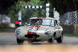 Goodwood E-Type Celebrations I